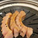 제주청년돼지 이미지