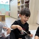 공립 소중한어린이집