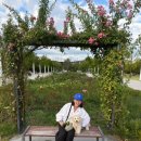 피움동물병원 이미지