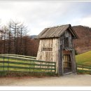 안반데기 목장 이미지