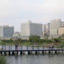 스타팰리스 이미지