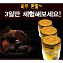 황금약초