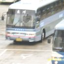 동천여행사 이미지