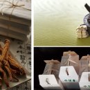 경희디에스한방병원 이미지