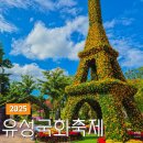유림-57 | 2025 유성국화축제 기본정보 주차 꿀팁까지 미리 다녀온 후기