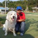 이삭애견 이미지