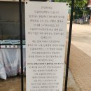 5월24일(두물머리홧도그/국수리텃밭) 이미지