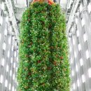 무장농장 이미지