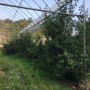 청구농장 이미지