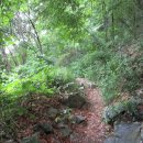 신광면/비학산 이미지