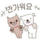 언양비닐 이미지