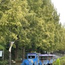 카오스게임장 이미지