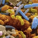 정문온누리약국 이미지