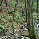 종점농장 이미지