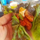 은빛물결캠핑장 이미지