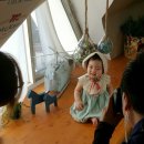 312일: 수베이비 종로평창점 돌사진 솔직후기!♥