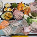 육사시미 콘서트 3 이미지