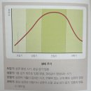문정태권도장 | [서울휘 :: 서울휘의 월급 받는 알짜 상가에 투자하라] 독서 후기