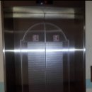 인화오벨리아 이미지