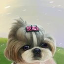보리사랑