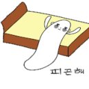 삼영횟집