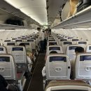 미주소프트 | 아시아나 애견동반 치앙마이 여행 강아지 탑승 후기