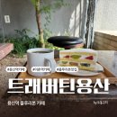 트래버틴용산 | 트래버틴 용산 로스터리 필터커피 맛집 블루리본 카페