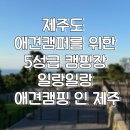 일랑일랑 애견캠핑 인제주 | 제주도 애견캠퍼를 위한 5성급 신생 캠핑장. 일랑일랑 애견캠핑 인 제주 살펴보기!