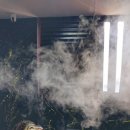 달그린캠프 이미지