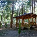 무학농원 이미지