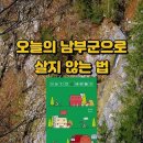 오늘의 남부군으로 살지 않는 법 이미지