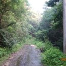 용인자연숲캠핑장 이미지