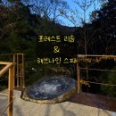 페이지나인호텔 | [★리조트 후기] 포레스트 리솜 G40 숙박, 해브나인 웰니스 스파 이용 후기 (+입장권 구매 할인)