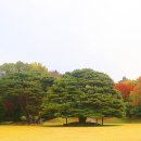 반송 이미지