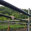 한실농장 이미지