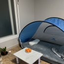 킹스골프아카데미 | 11월 2주차 주간일기, 일상과 안양 킹스베이커리카페 후기