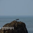 말도 (末島) 이미지