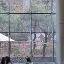 이시각 주요 연합뉴스갈때가 좋았던 아닝 이미지