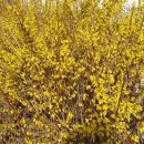 하늘바람꽃농원 이미지