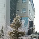 연세실버벨리 이미지