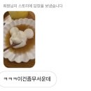 카페델꼬또네 이미지
