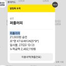 퍼플러피 | 김포 풍무동 실내에서 놀기 좋은 애견카페 '퍼플러피' 방문 후기❤️