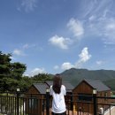 웰컴투송계리 이미지