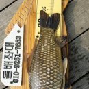 고삼닷컴 이미지