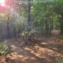 리틀부쳐 이미지