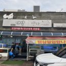 포항 오천 물회맛집 대박회센터 물회 한상 후기