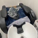 서나헤어 이미지