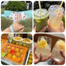 제주 여미지식물원 2025 식품대전 맥주축제 후기