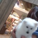 건국동물병원 이미지