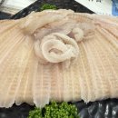 연제구-148 | 부산맛집 감포참가자미횟집에서 제대로 즐긴 참가자미회 한상